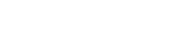SonicVolts